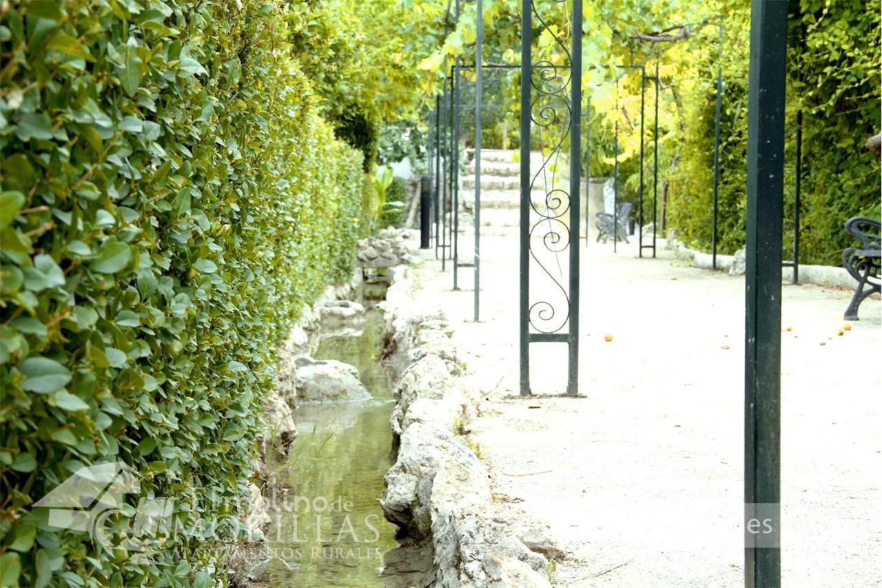 Apartamentos Rurales El Molino De Morillas Galera 外观 照片