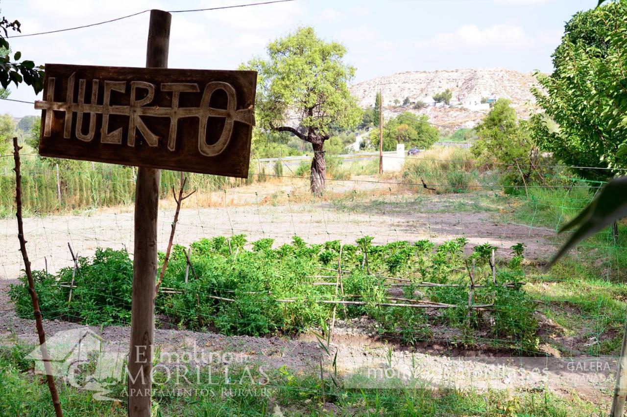 Apartamentos Rurales El Molino De Morillas Galera 外观 照片