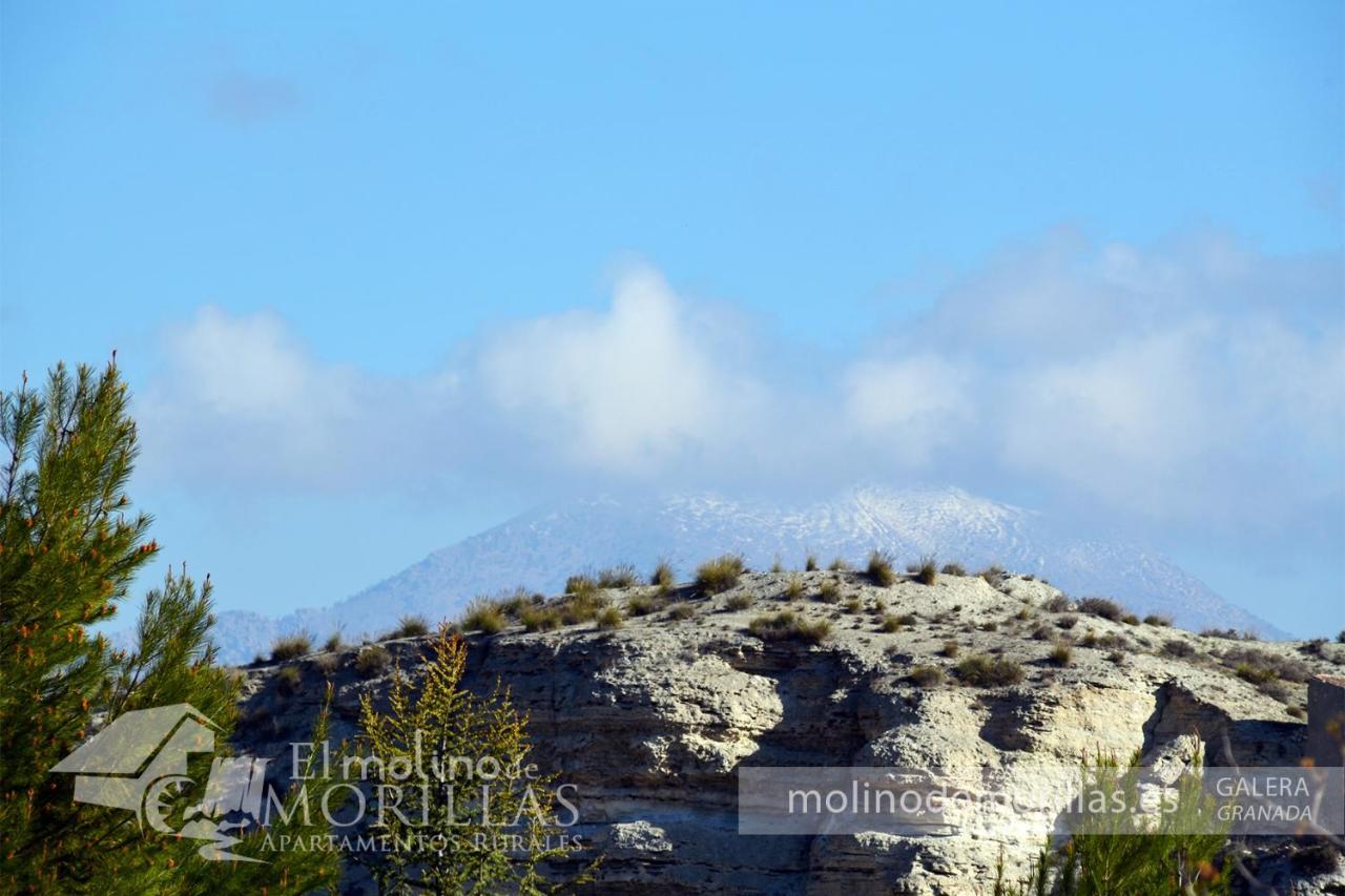 Apartamentos Rurales El Molino De Morillas Galera 外观 照片